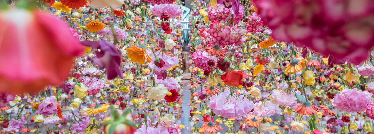 I fiori artistici di Rebecca Louise Law