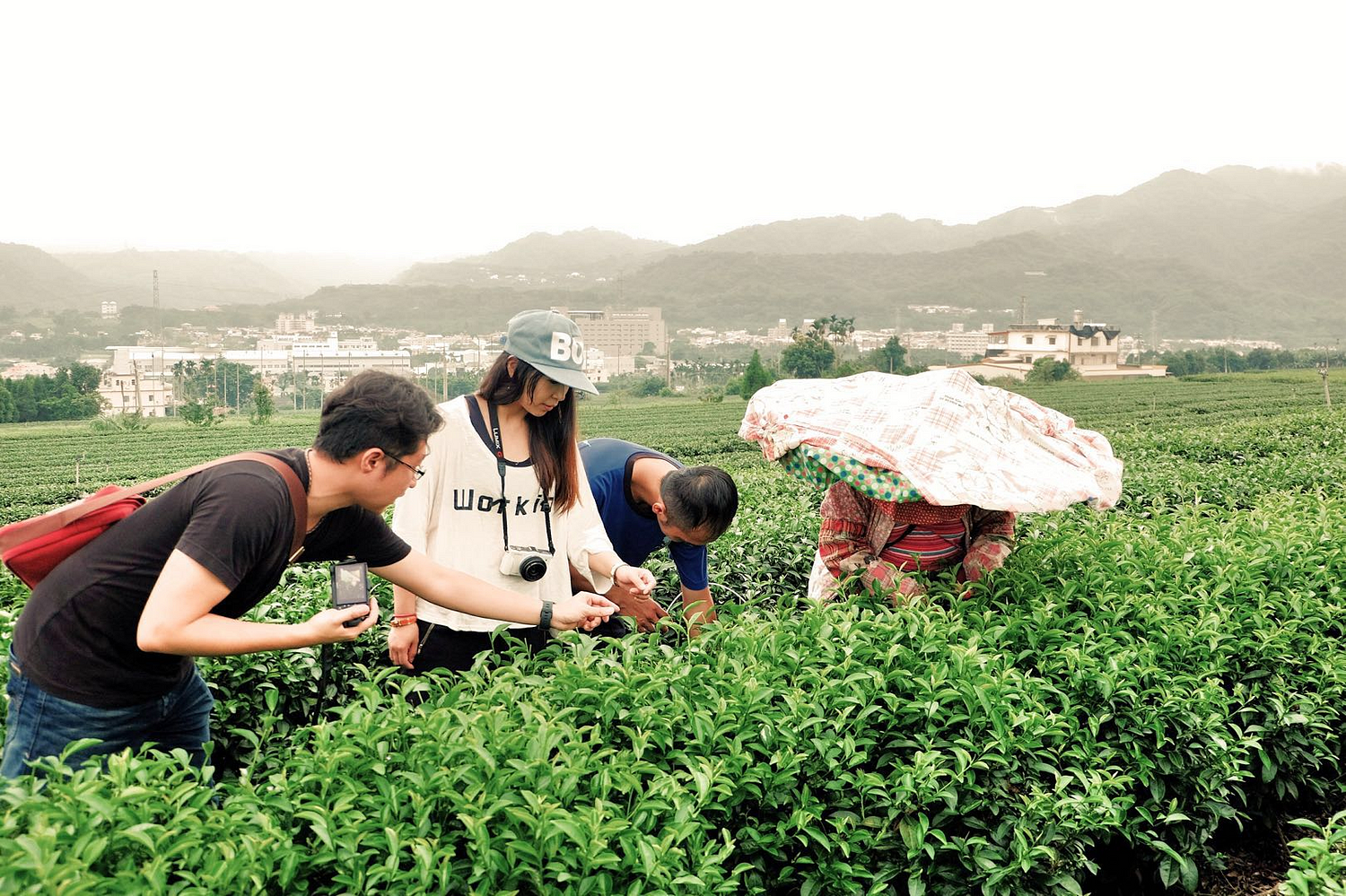 Teafolks創辦人-吳孟純到南投竹山茶園與茶農討論採茶狀況