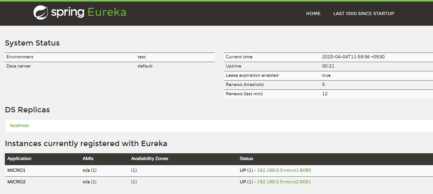 Eureka server with client registered