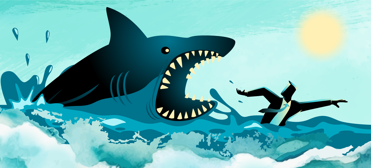 What Shark Week Teaches About Marketing Success