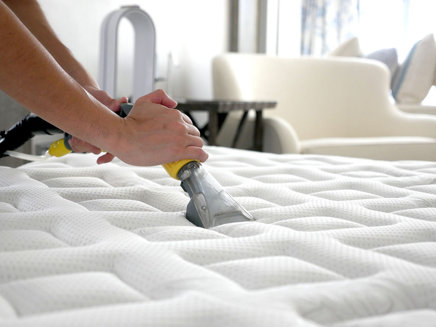 Sleep Safe: Choosing the Right Mattress Sanitizing Services