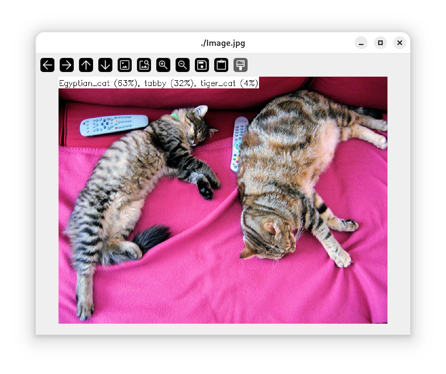 Computer Vision — Image Classification (YOLO26)