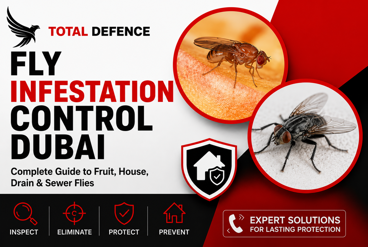 Fly Infestation Control Dubai | House Fruit & Drain Flies Fly Infestation Control Dubai | House Fruit & Drain Flies