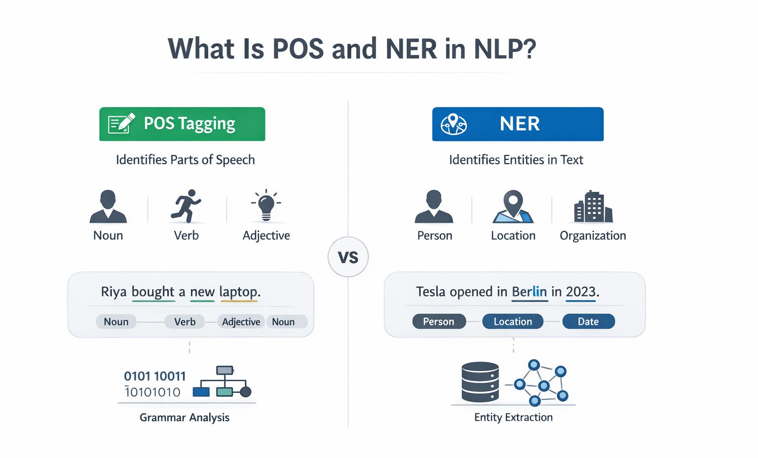 Decoding the DNA of Text: A Beginner’s Guide to NLP Token Classification