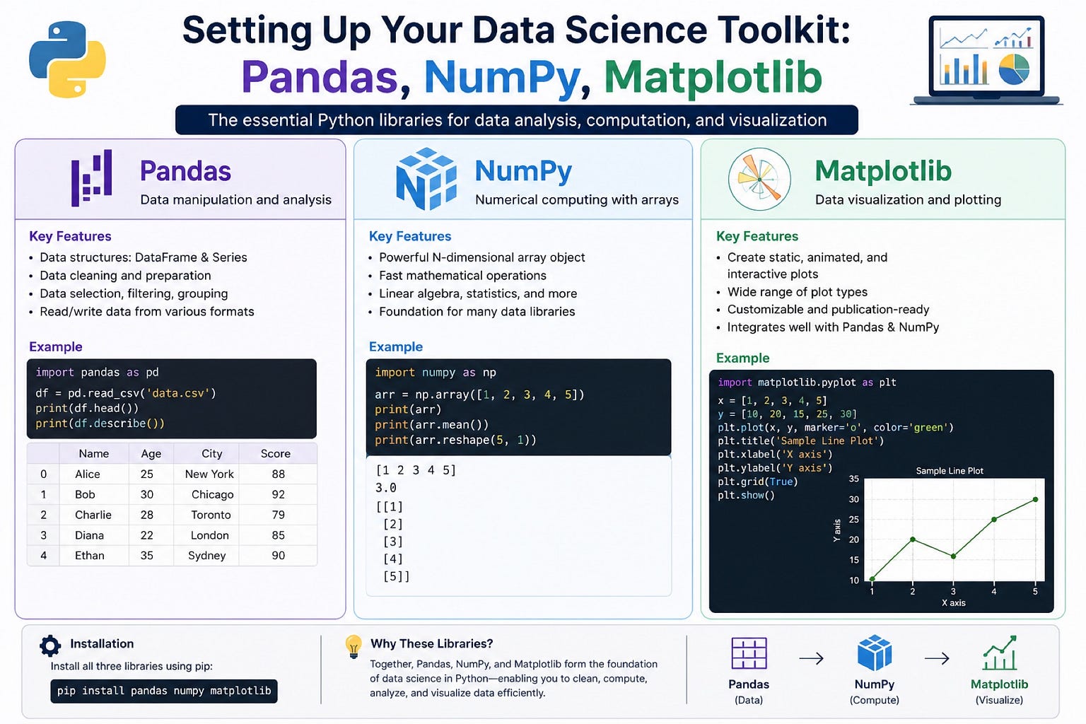 Setting Up Your Data Science Toolkit: Pandas, NumPy, Matplotlib
