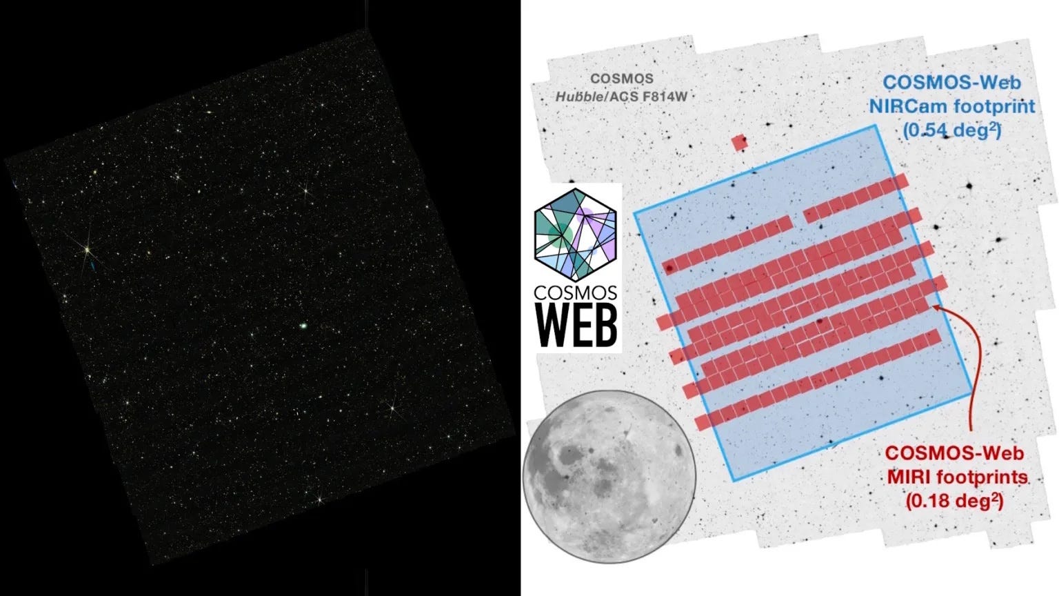 COSMOS-Web unveils JWST’s newest gravitational lenses