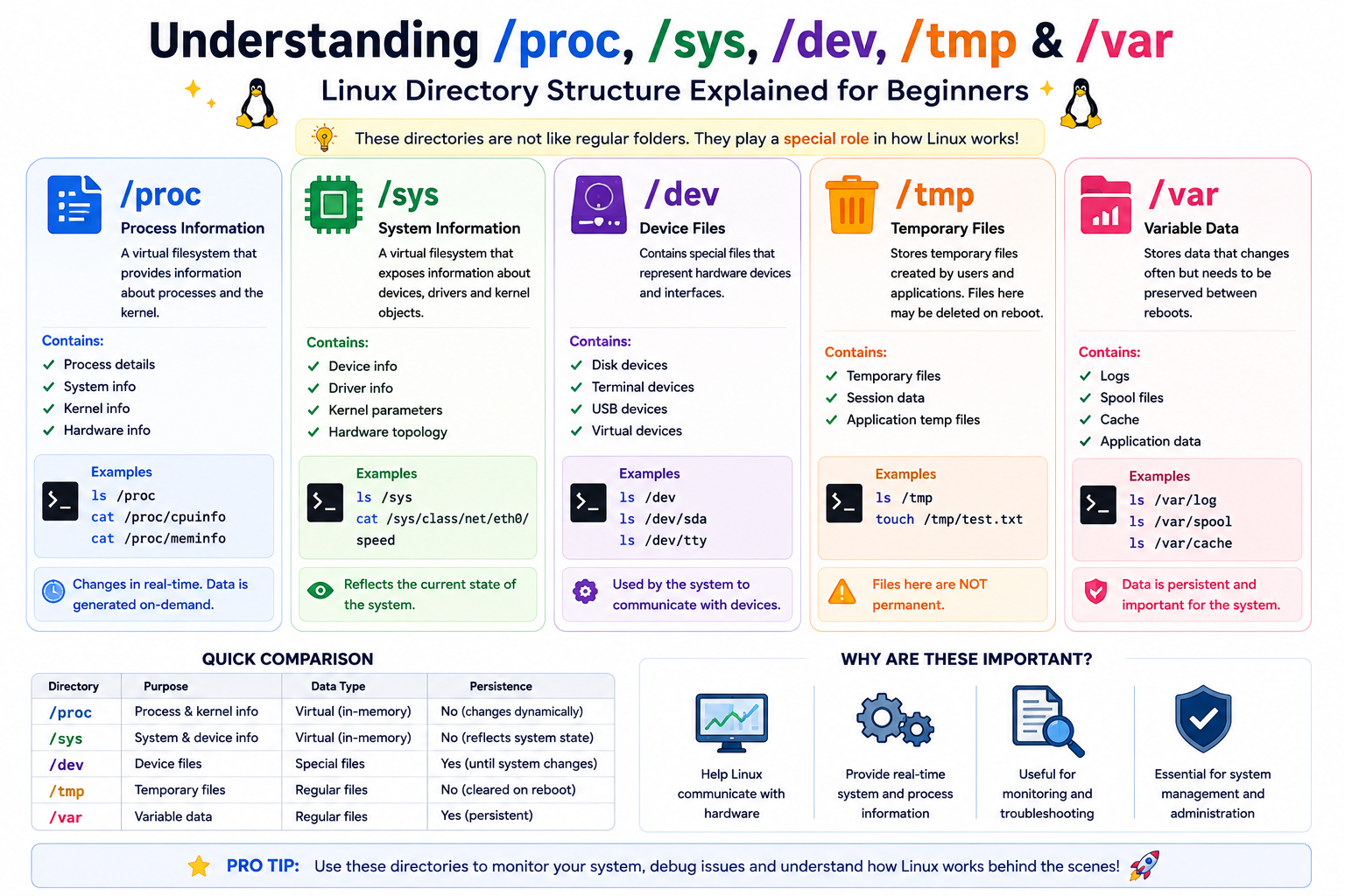 Understanding /proc, /sys, /dev, /tmp & /var: Linux Directory Structure Explained for Beginners