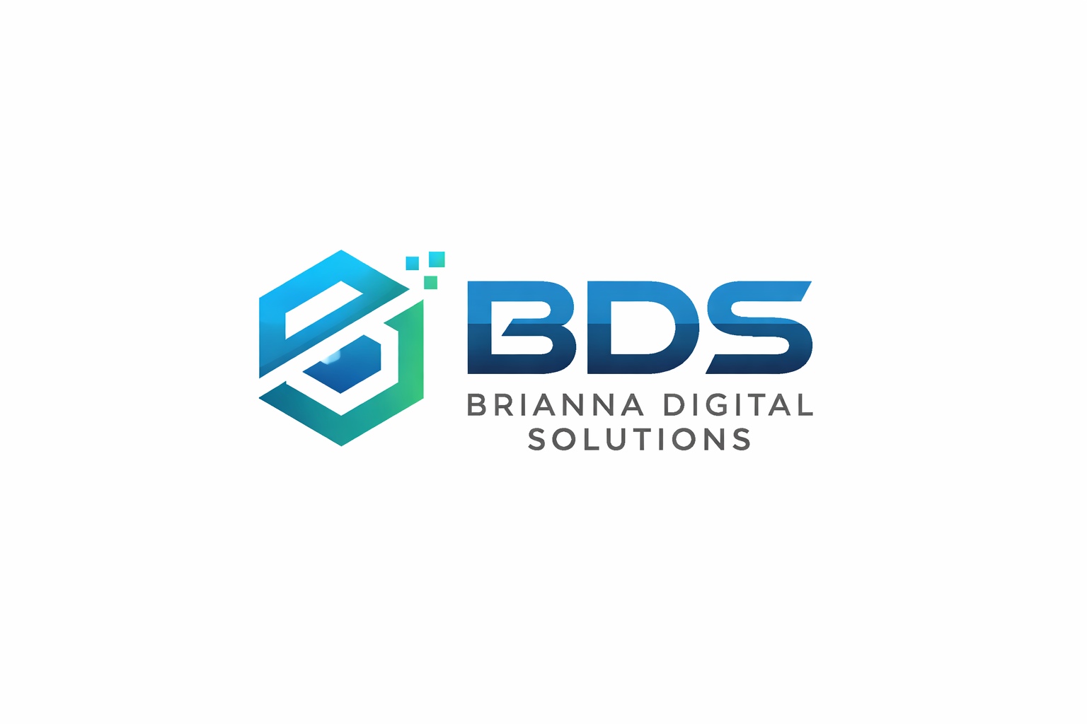 BDS Marketplace – Official Digital Platform for Online Income Business