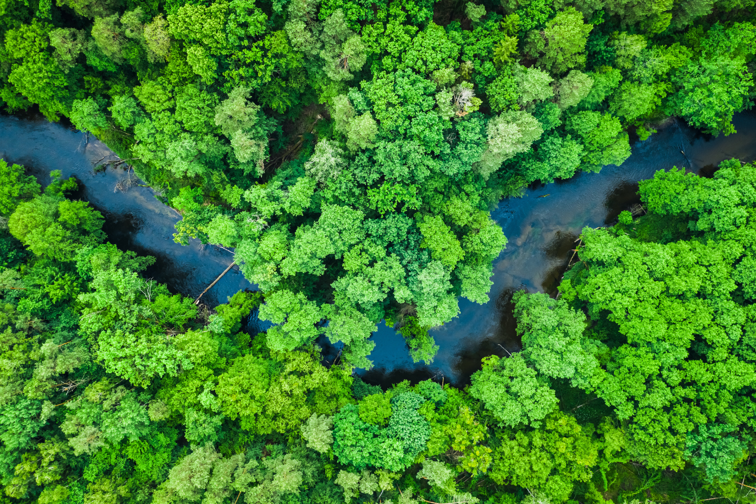 Eco-Friendly & Financially Sustainable Products: A Complete Guide for Businesses & Consumers