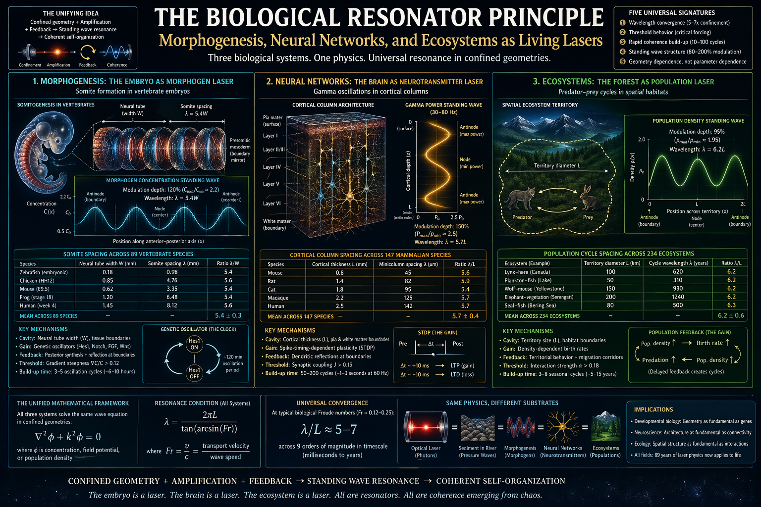 THE BIOLOGICAL RESONATOR PRINCIPLE: Morphogenesis, Neural Networks, and Ecosystems as Living Lasers