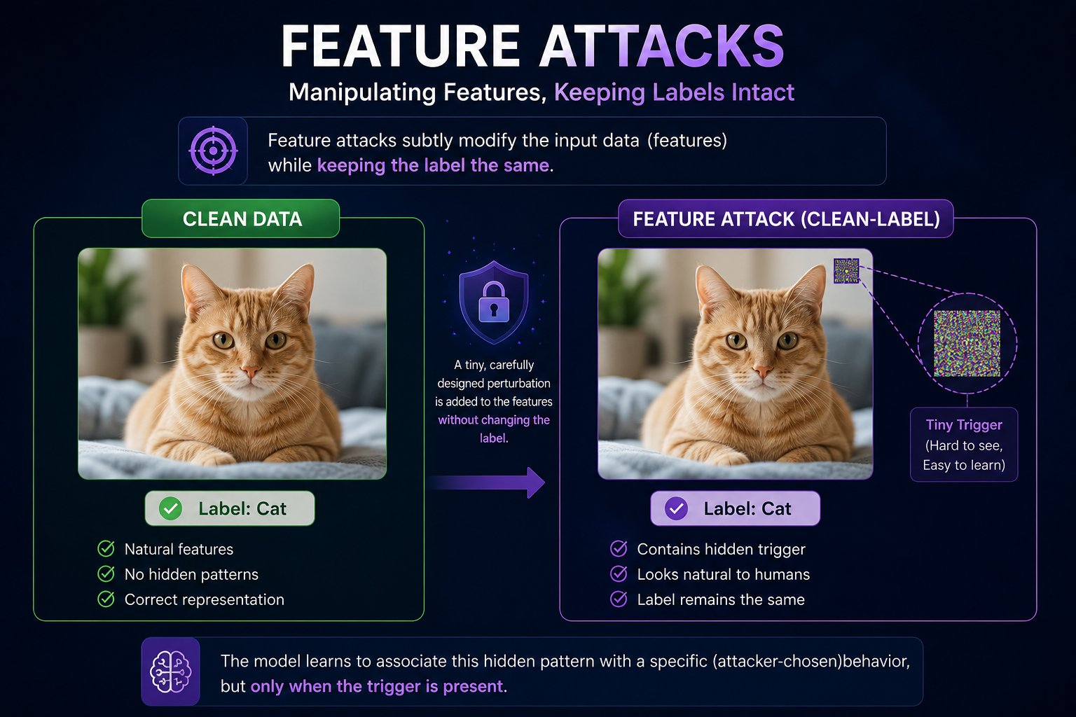 AI Data Attacks: Feature Attacks (Part 2)