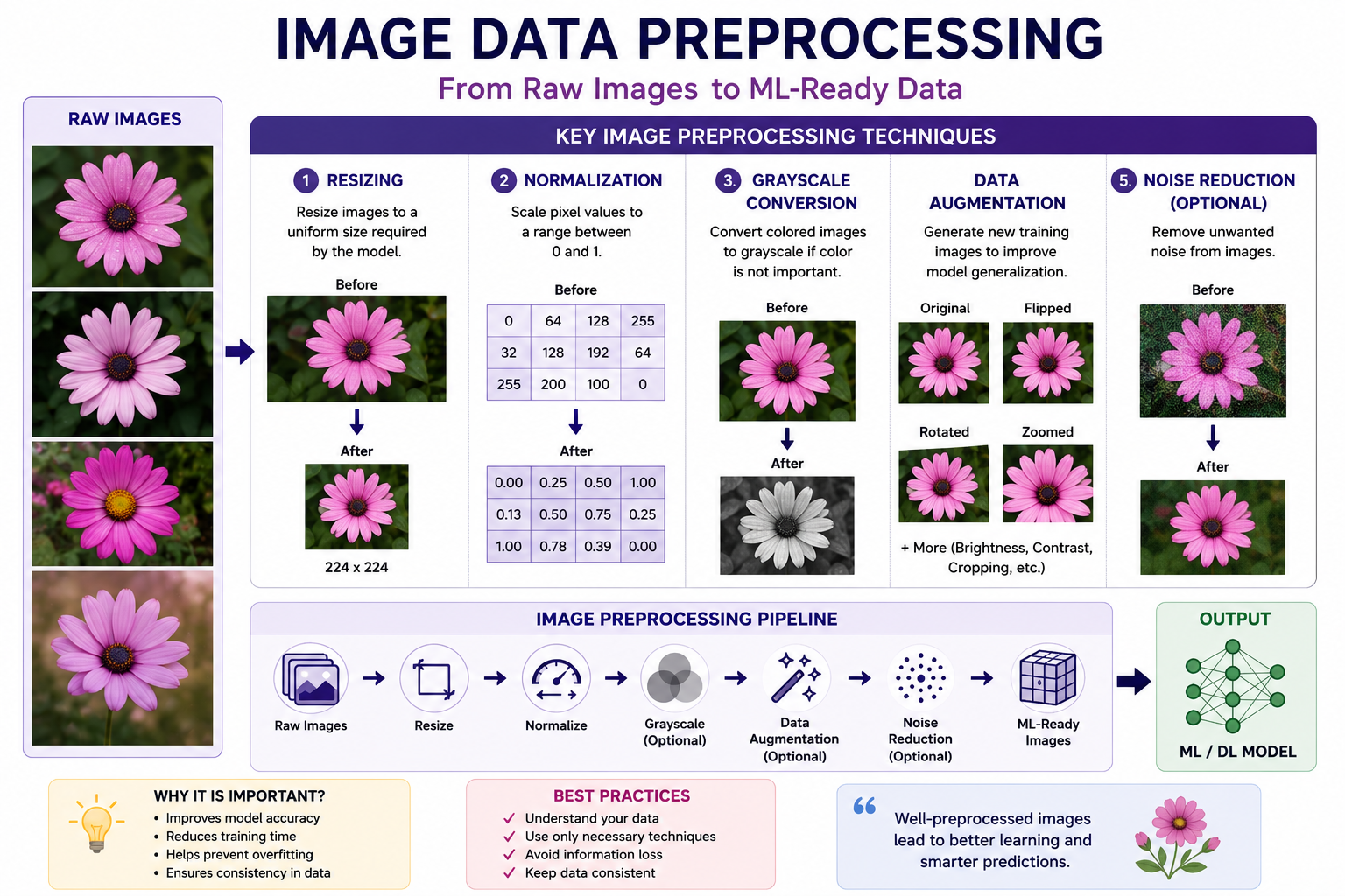Image Data Preprocessing: Preparing Images for Machine Learning Models