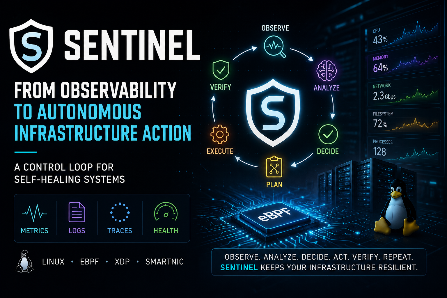 What Is Sentinel Actually ?