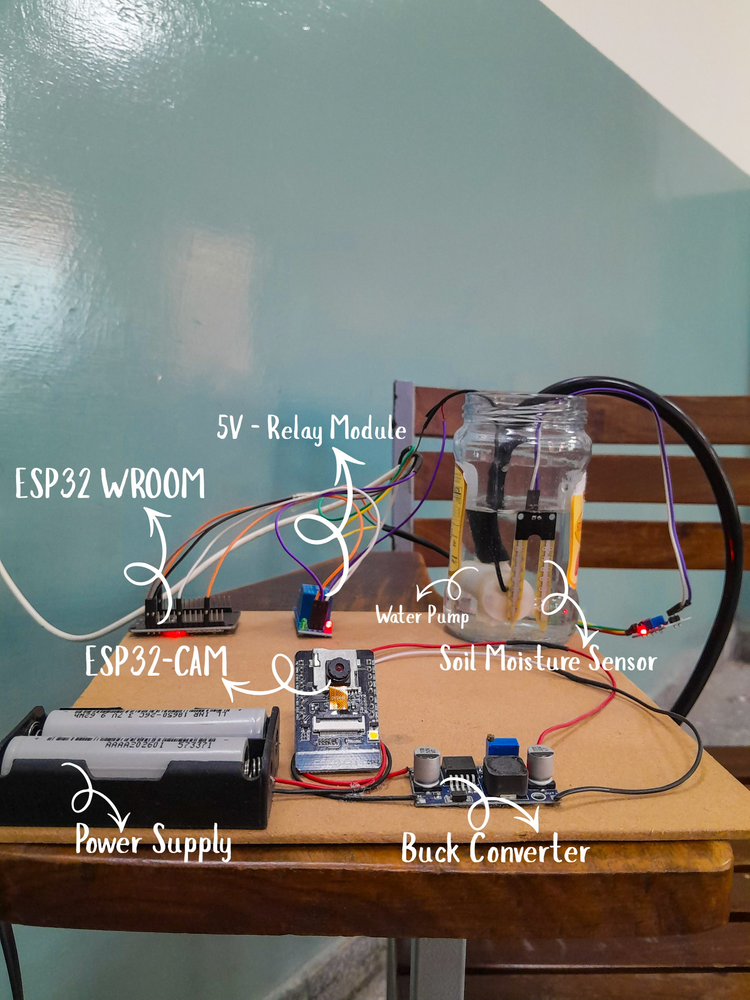 Why I Spent Six Months Building an AI System for Farmers — And What It Cost Me