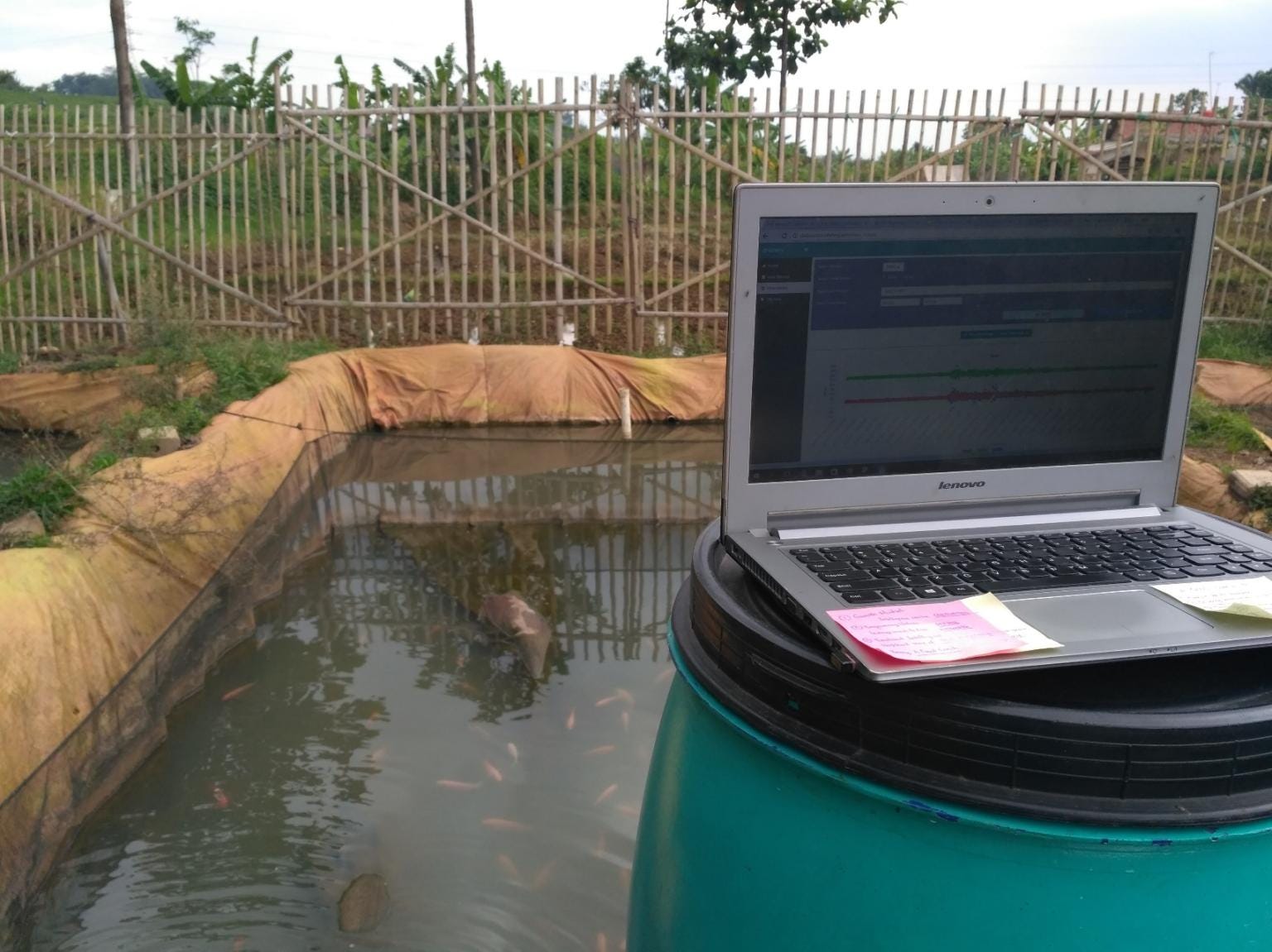 Part 1.5: Could eFishery Have Built Something Real Without the Startup Pressure? Is It Worth It?