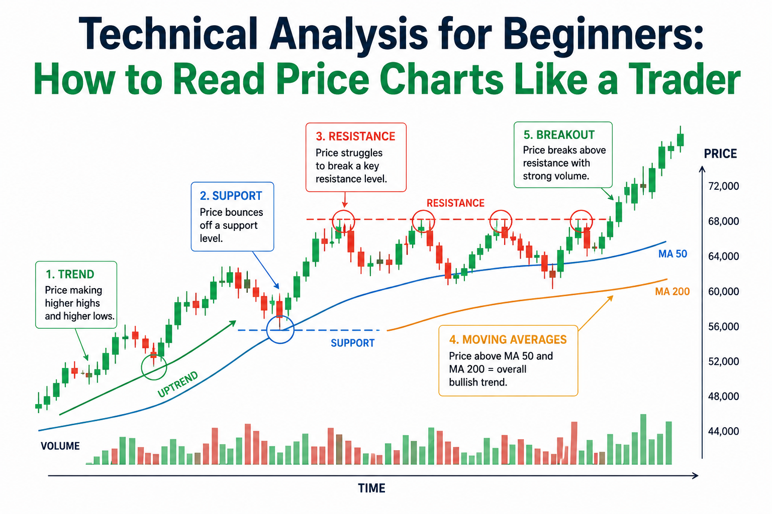 Technical Analysis for Beginners: How to Read Price Charts Like a Trader
