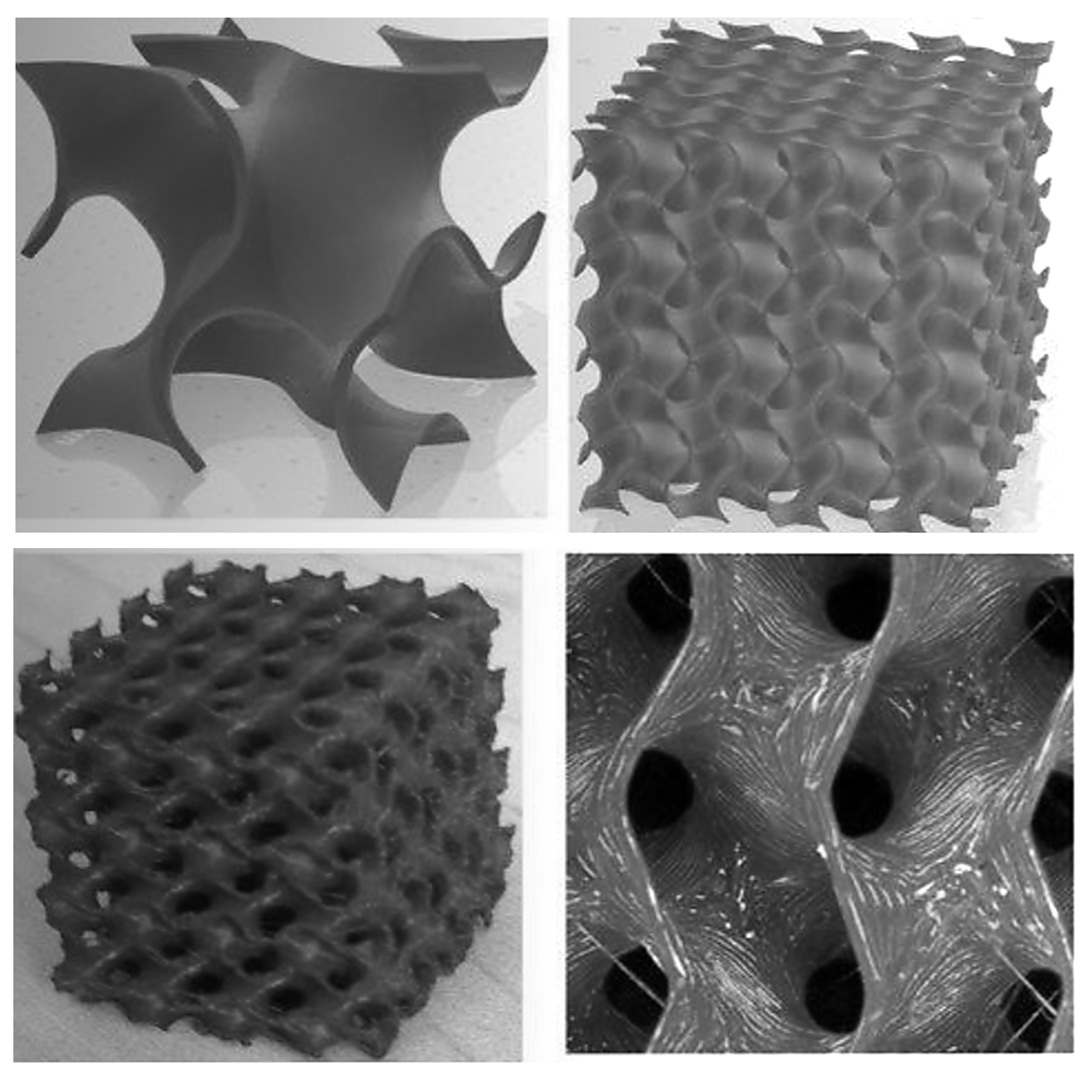 The Mycelium Hypothesis: If 3I/ATLAS Were Engineered Would Porosity Be