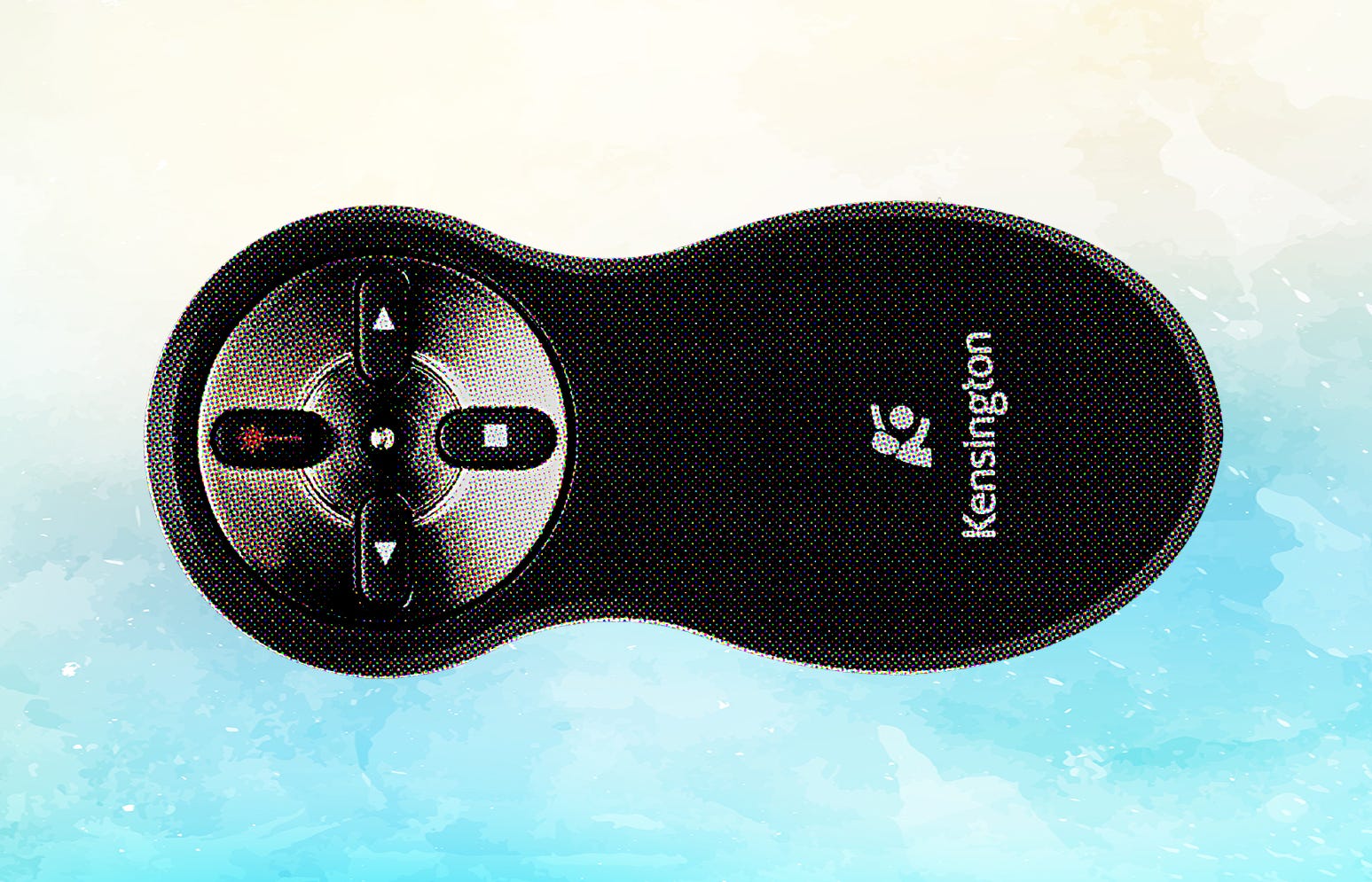 the best presentation tool cat toy you can buy for 30