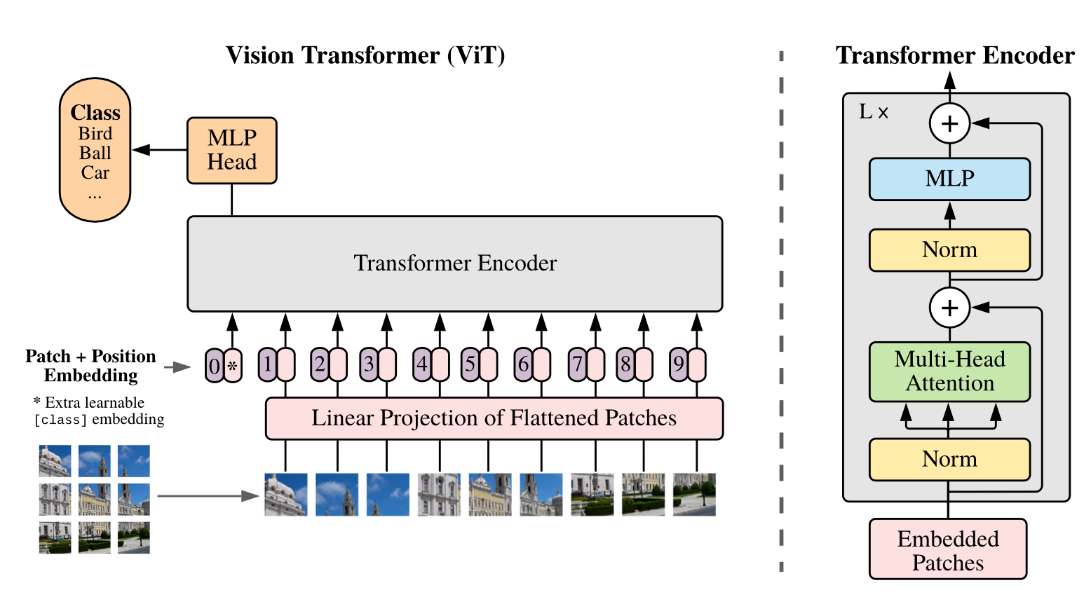 ViT: Vision Transformer