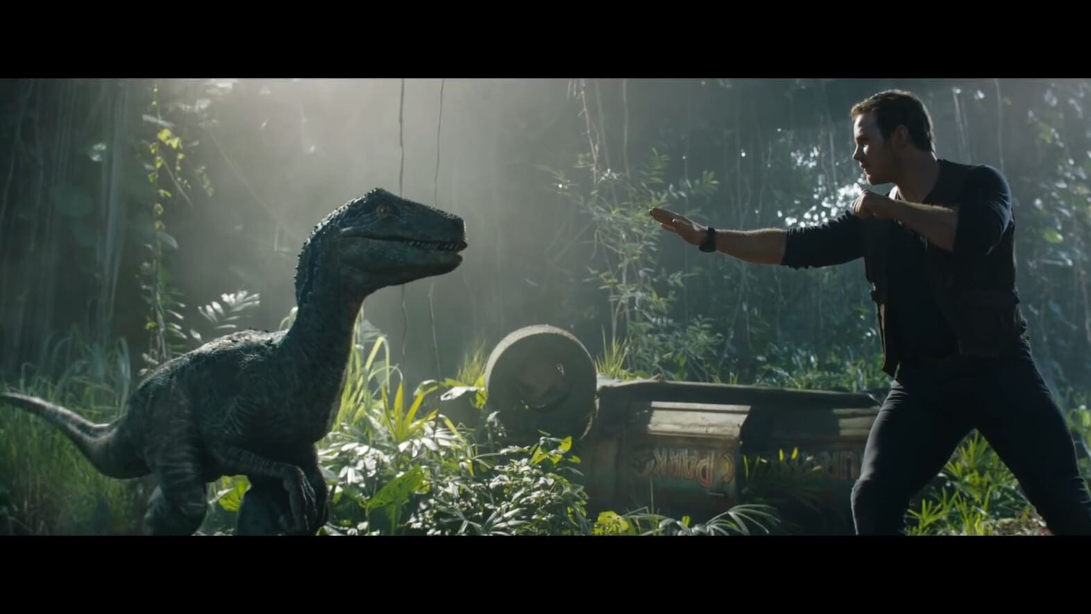 Inilah 10 film Hollywood yang paling laris selama tahun 2018 (dok. Universal Pictures)