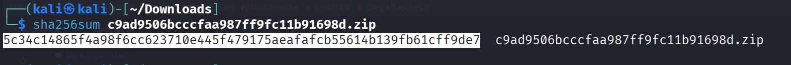 LetsDefend SOC114 — Malicious Attachment Analysis