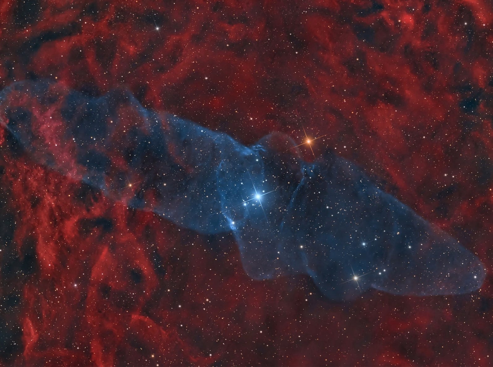 The Giant Squid Nebula