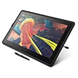 Wacom Cintiq 22 Drawing Tablet with HD Screen, Graphic Monitor, 8192 Pressure-Levels (DTK2260K0A)...