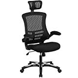 Flash Furniture High Back Office Chair | High Back Mesh Executive Office and Desk Chair with Wheels...