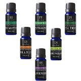 Aromatherapy Top 6 Essential Oils 100% Pure & Therapeutic grade - Basic Sampler Gift Set & Premium Kit - 6/10 Ml (Lavender, Tea Tree, Eucalyptus, Lemongrass, Orange, Peppermint)