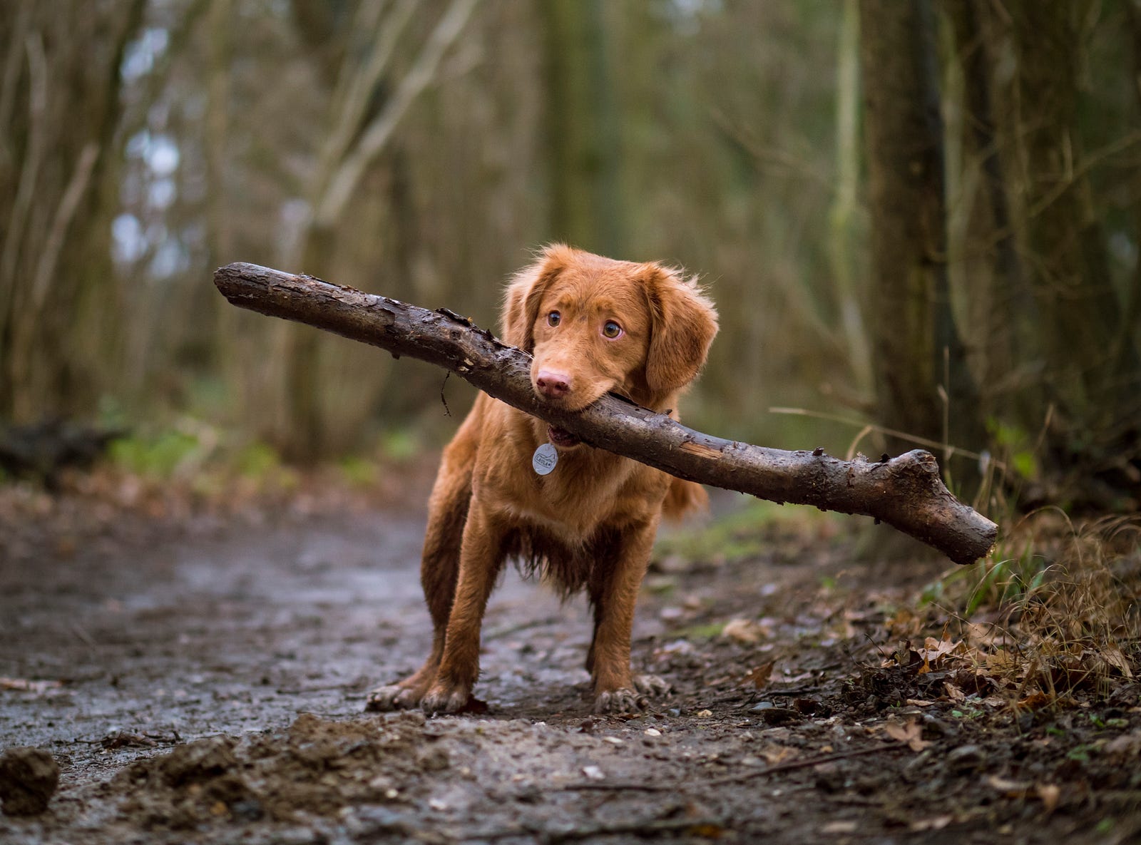 Photo by Jamie Street on Unsplash