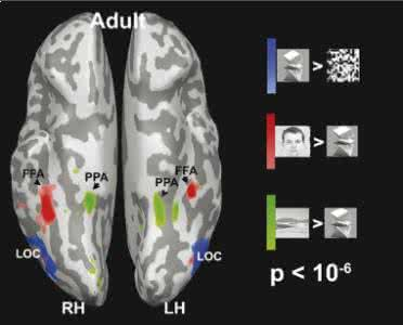 Using Human Brain Activity to Guide Machine Learning