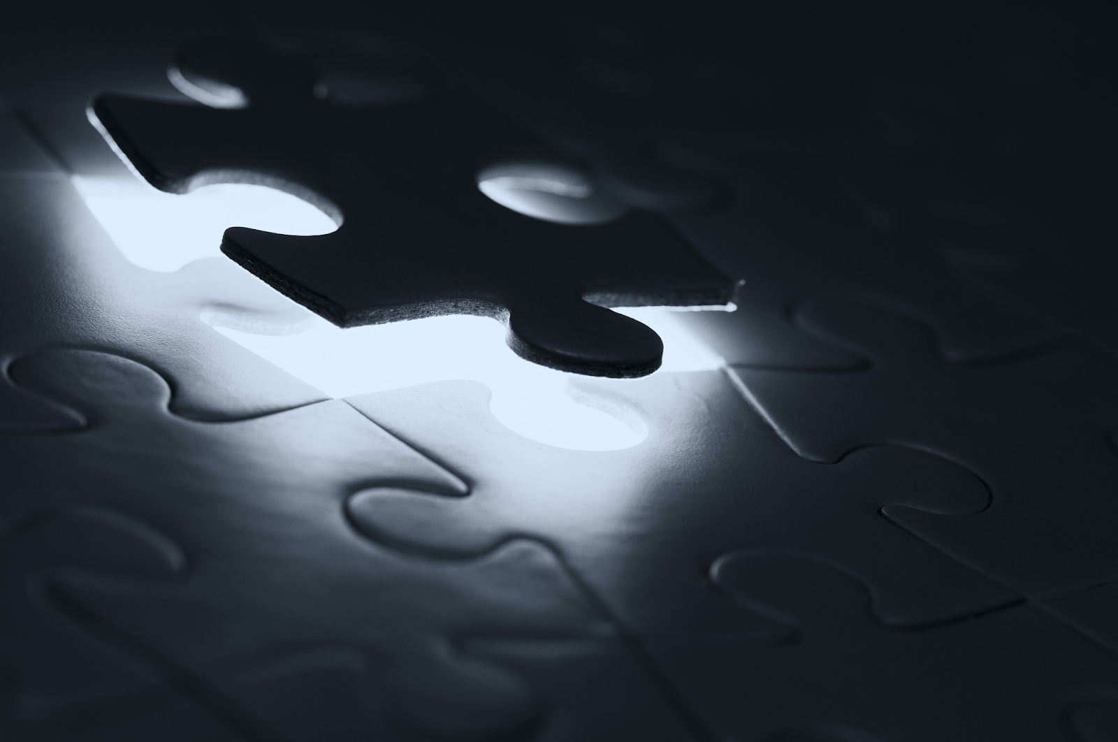 puzzle piece corporate monitoring software