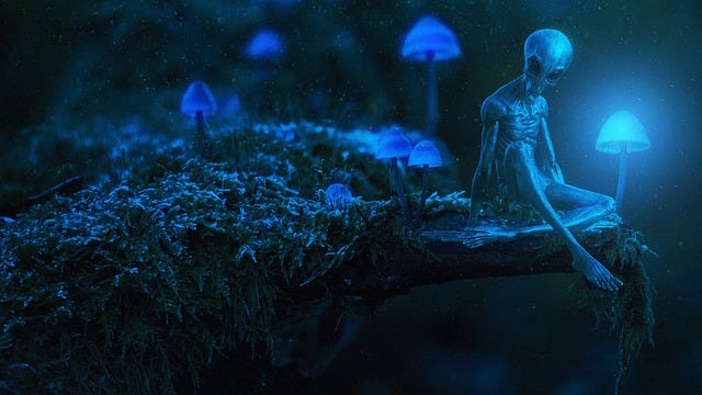9D Pleiadian Collective