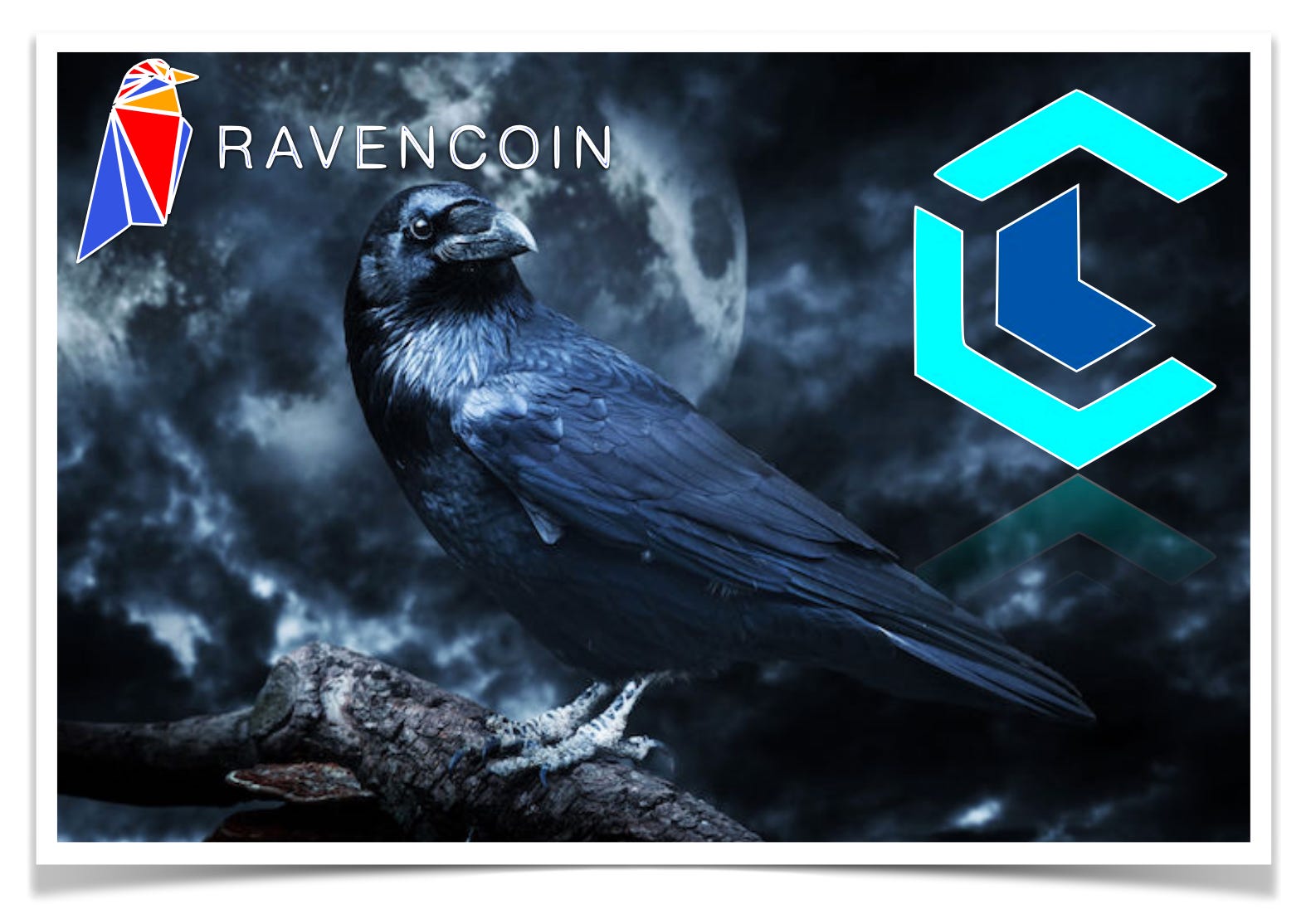 Ravencoin Review — A Bitcoin Code Fork Looking to Bring Real-World Assets onto Blockchain