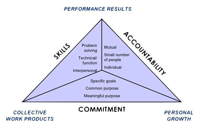 8 Models of Team Effectiveness – Riter – Medium