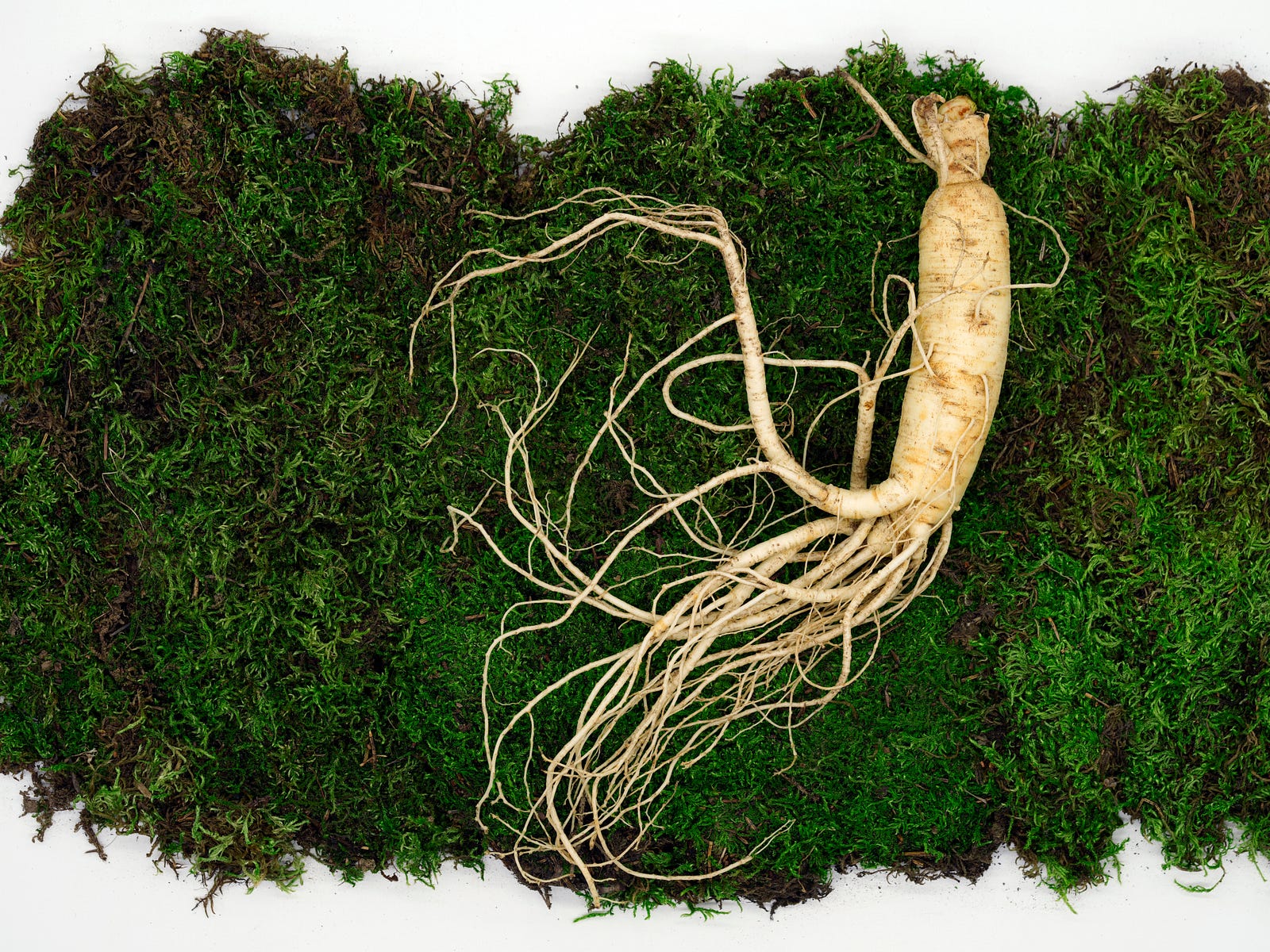 Ginseng. Some use it to promote personal energy.