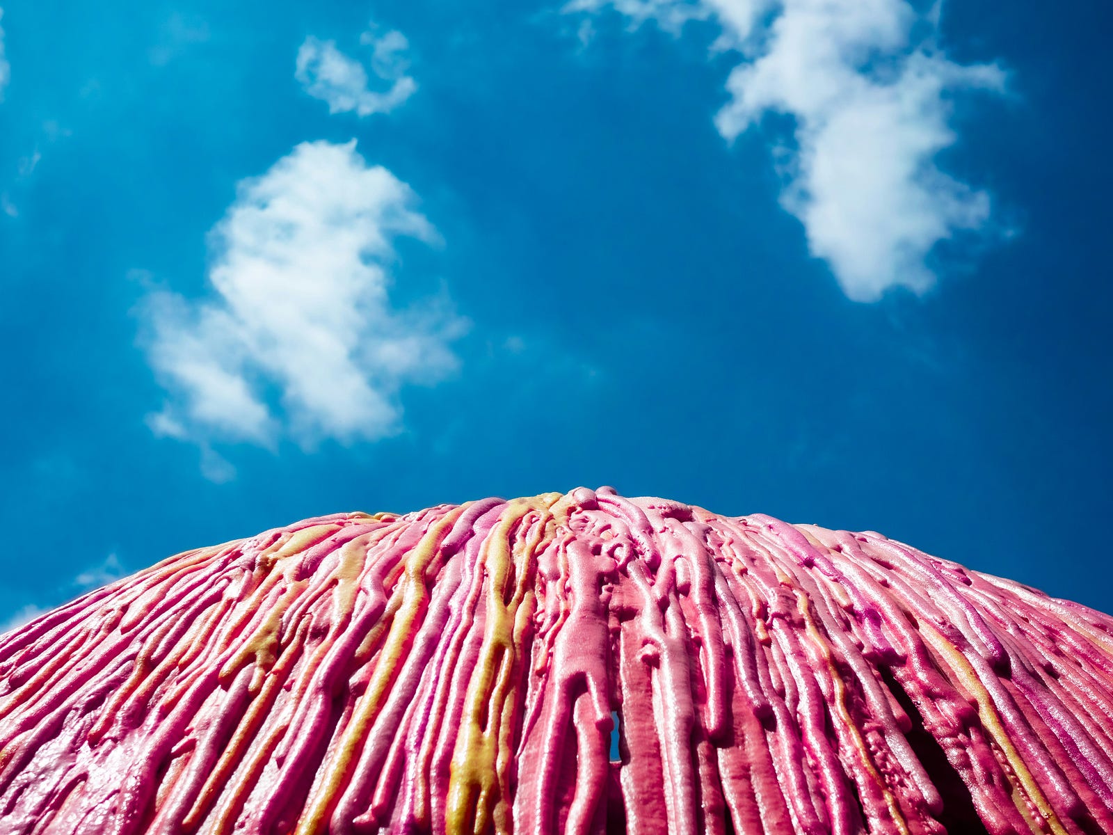 A wall of gum, visualized from below, with the sky (with a couple of fluffy clouds) above. The California (USA) Dental Association frames it this way: Xylitol inhibits the growth of the bacteria that cause cavities and bad breath. It does this because these bacteria (Streptococcus mutans) cannot utilize xylitol to grow.