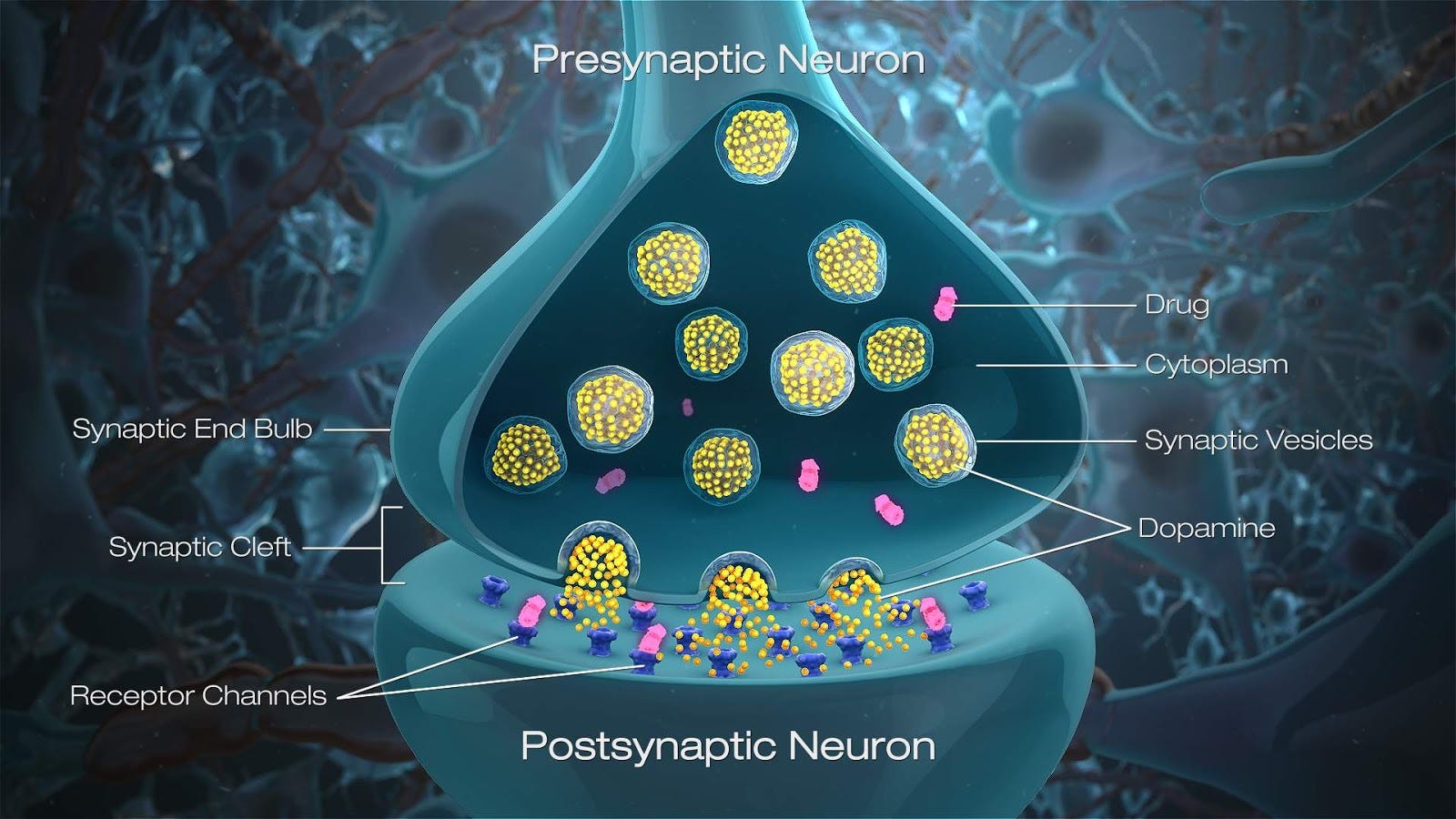 Biology Says Addiction Isn’t A Disease – Scientificanimations – Medium