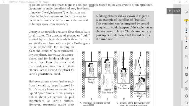 PDF Reader Window UWP