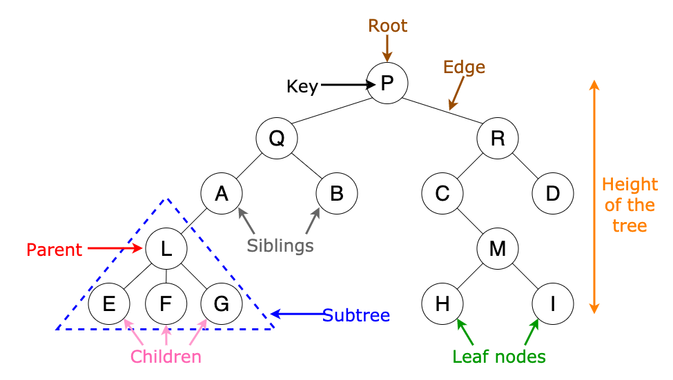 Tree terminologies in DT