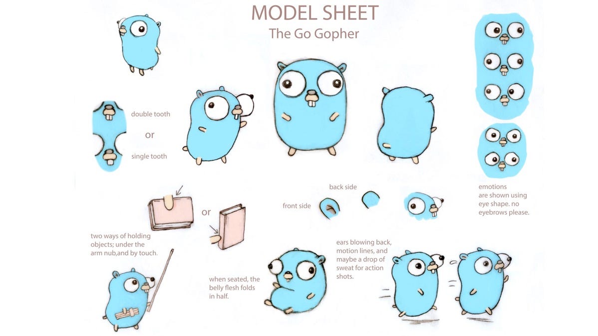 Gopher model
