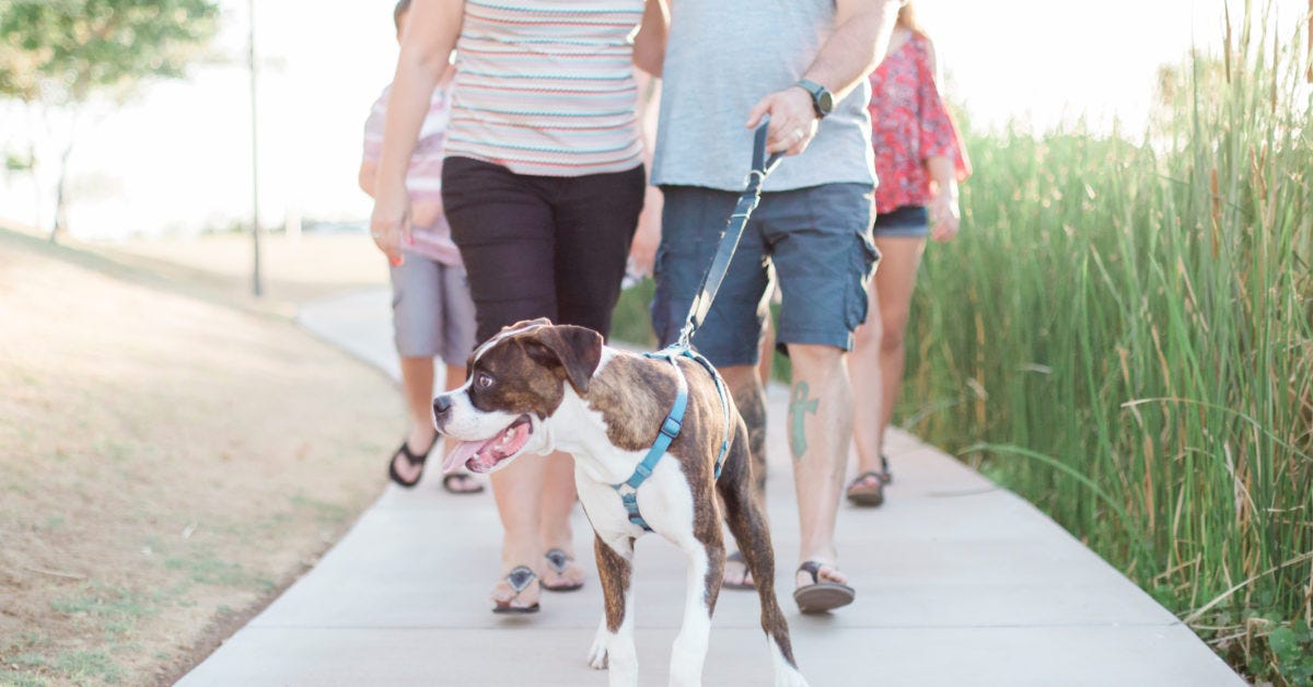 Jeff and Stacey walking dog offerpad