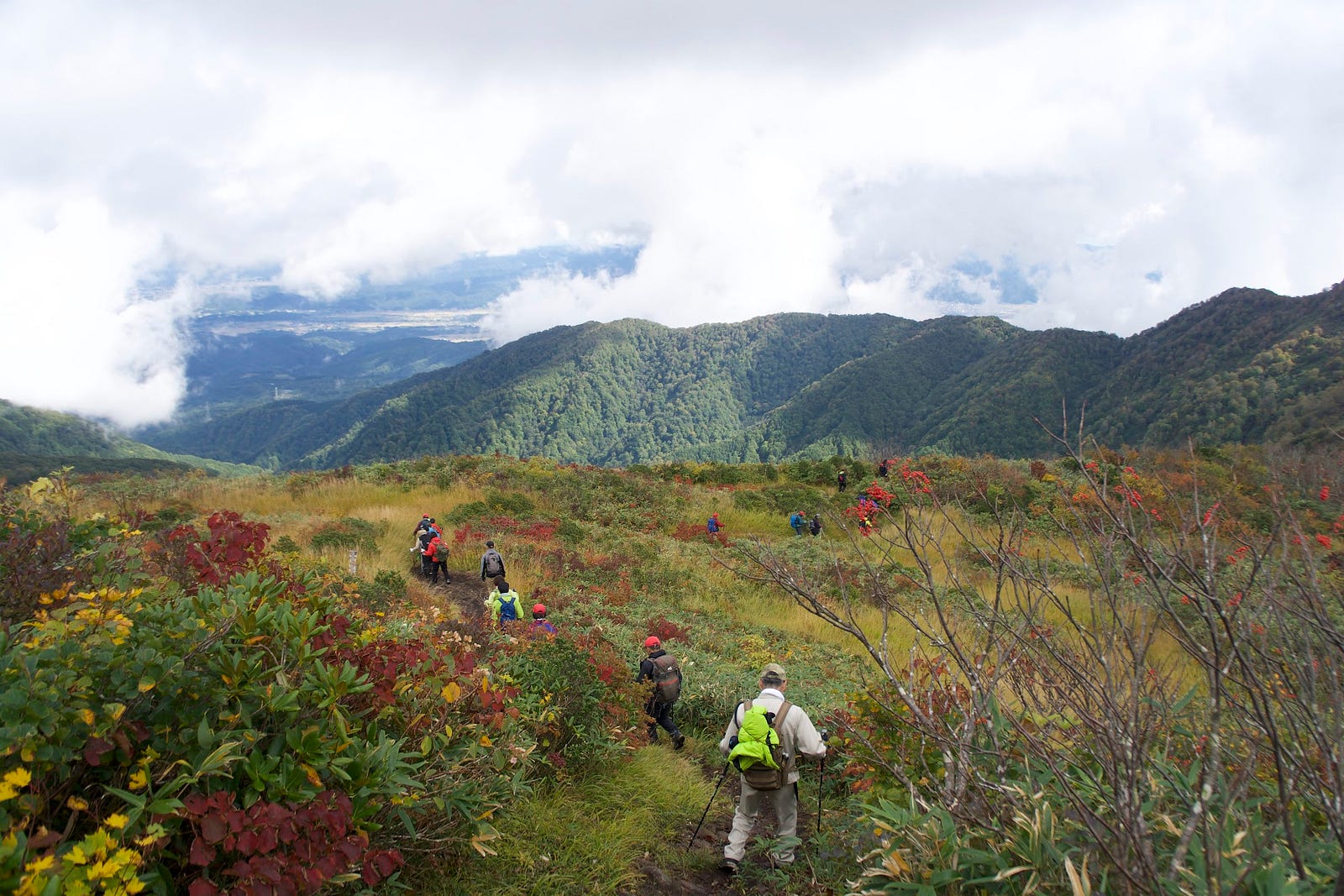 Hikers heading back to Hayama Shimin-so from Hakuban Jinja among the autumn leaves. The green forests of Murayama Ha-yama and cloudy white sky in the distance