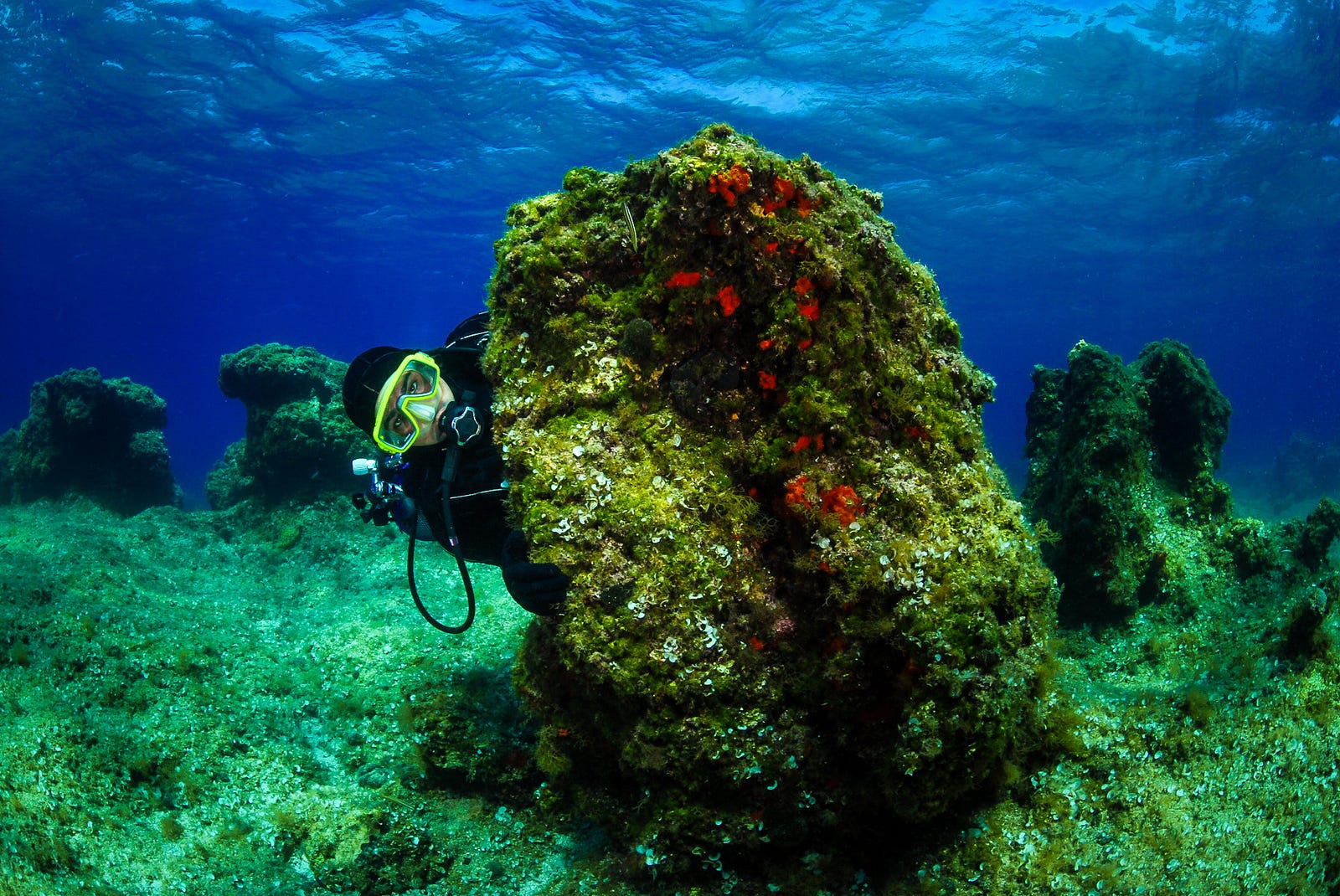 The Best Spots for a Diving Holiday in Europe \u2013 noble.life \u2013 Medium