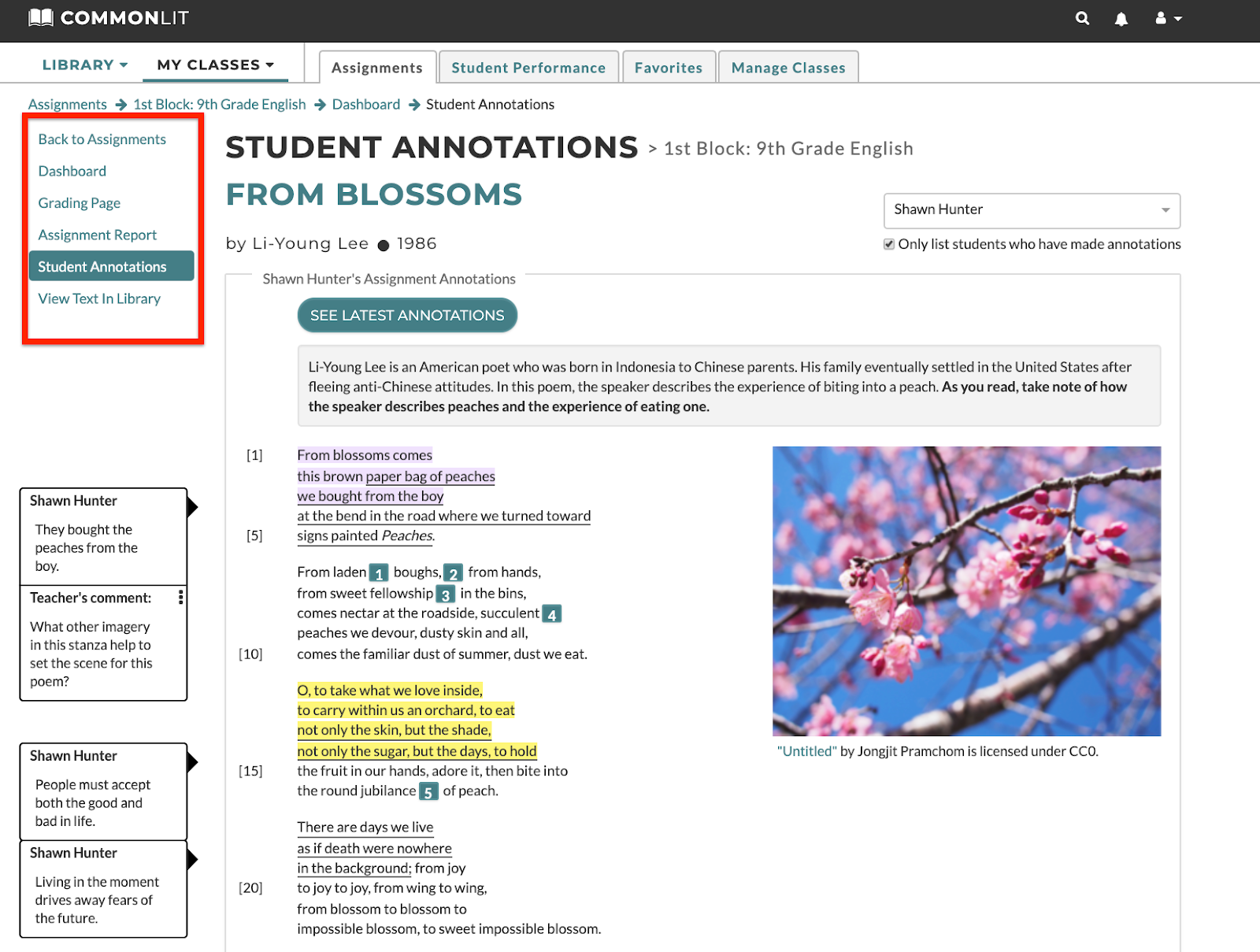 Student annotations with teacher feedback on the "Student Annotations" tab for the lesson "From Blossoms."