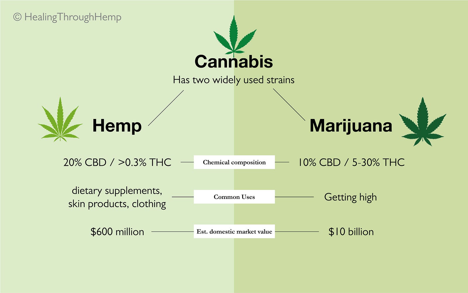 Chemical Makeup Of Thc - Mugeek Vidalondon