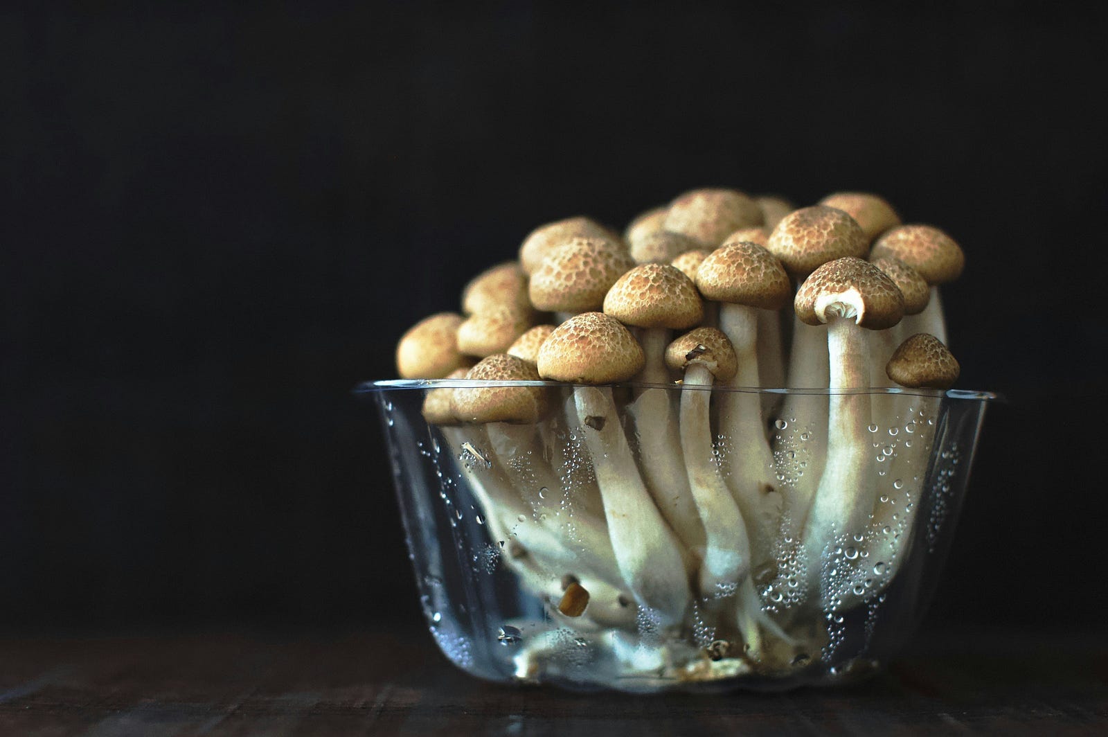 Magic mushrroms (psychedelics) in a clear bowl.