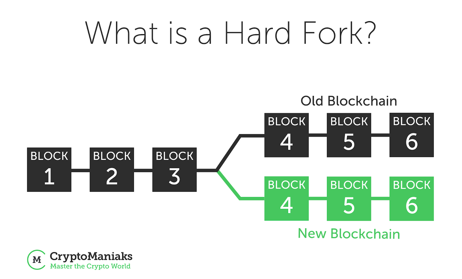 Crypto what is a fork ethereums mainnet
