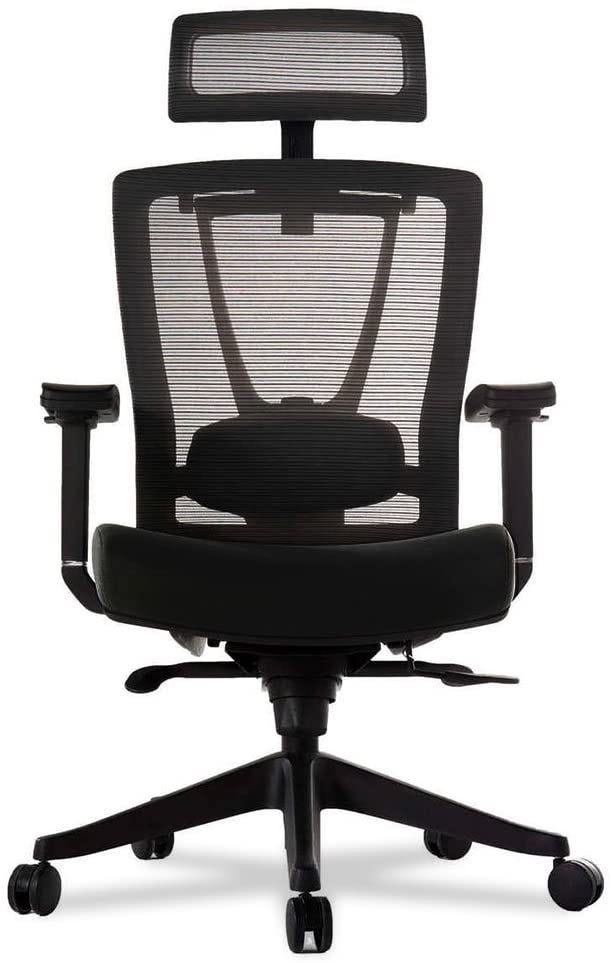 Premium Ergonomic Office Chair Black - Autonomous : Target