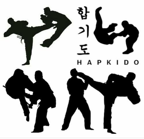 Resultado de imagem para HAPKIDO